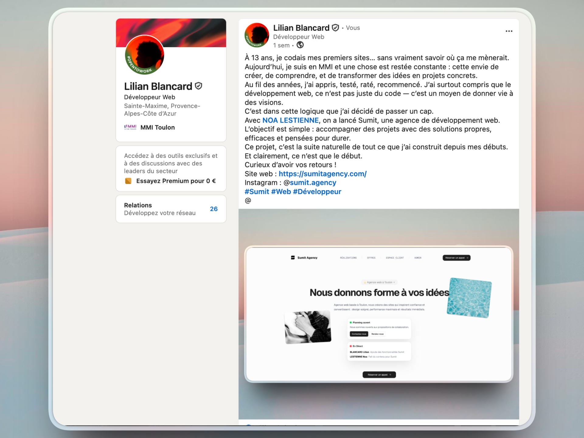 Présence en ligne et écriture professionnelle (M. Roux)